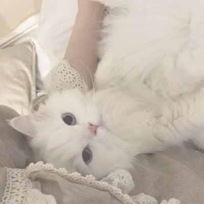 ⸺ ೀ #studytwt #lovelytwt ꒰ ྀི ◞ ◟ ꒱