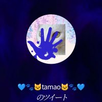 💙🍫🦀🐾🐱tamao🐱🐾🦀🍫💙(@tamao818) 's Twitter Profile Photo