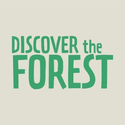 DiscoverForest Profile Picture