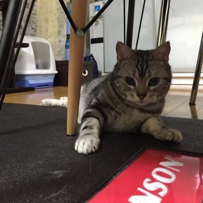 e5bdpqewwOWtEp8's profile picture. 仕事→車関係 車→ステップワゴン 過去車いっぱい 好き→車 犬 動物 温泉 風景 夜景 イルミ 花 空 川 海 四季折々 アクアリウム Disney 音楽全般(様々なジャンル) 心霊 盛岡や他県(7歳の秋)→東京20年→横浜6年→