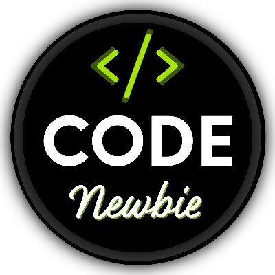 RealCodeNewbie's profile picture. 
