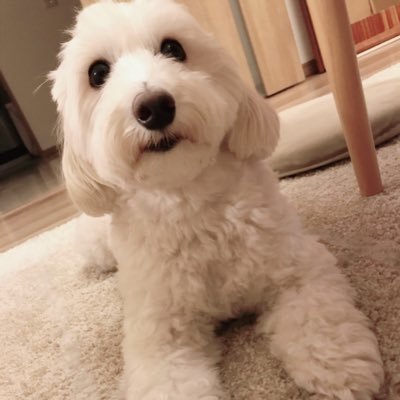 119kkyy's profile picture. 