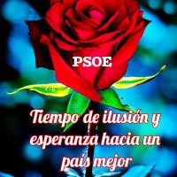 Paqui Luque / ❤️ (@paquiilj) 's Twitter Profile Photo