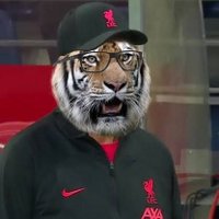 Brayam Fernandez (@brayamfernande8) 's Twitter Profile
