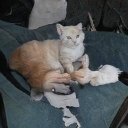 Marks Alicia - @MarksAlicia1 - Twitter