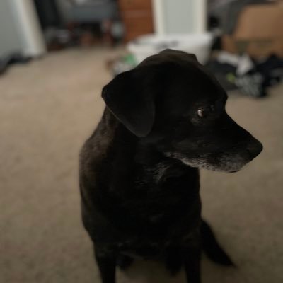 jmorse5233's profile picture. 