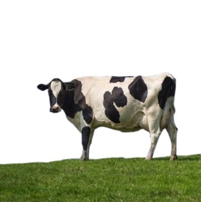 moo. | CONOCÍ A YERIN !!!