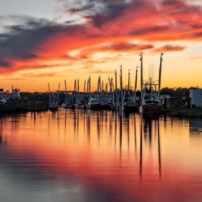 KittyPrince0's profile picture. 