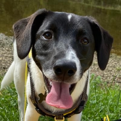 HunterO3_'s profile picture. 