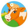 egor84483203's profile picture. degen  #btc