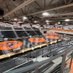 Platte Co. Wrestling (@pcwrestle) Twitter profile photo Platte Co. Wrestling (@pcwrestle) Twitter profile photo
