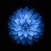 Spencer Anderson (@spencer15210532) Twitter profile photo Spencer Anderson (@spencer15210532) Twitter profile photo