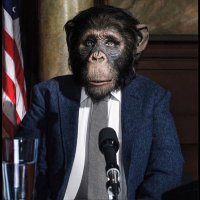 LawyeroftheApes(@lawyeroftheapes) 's Twitter Profileg