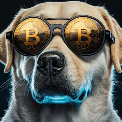 DoggoBTC's profile picture. Entrepreneur, Investor, Traveler, Coffee Drinker and Crypto Enthusiast. #Bitcoin FTW. 🌽🌕⌚ $MSTR $MTPLF $MSTY $IMST $BTCI $SBET