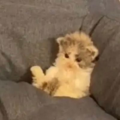 babynoodle6's profile picture. having fun cumming pissinn