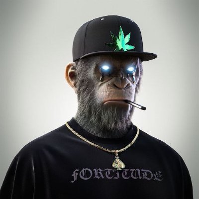 melani_anjani's profile picture. NFT LOVER HOLDER NFTs🖥️🚀🚀