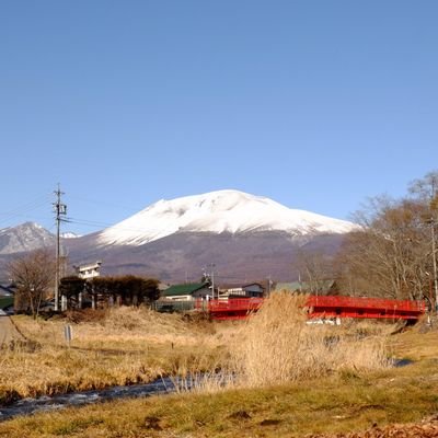 ネコですが賃貸のため飼えないので勝手に皆さんのtweet見て癒されて💓ポチっとさせてもらってます😊

東京大衆歌謡楽団にもはまっています😍
宜しくお願いします🙇‍♀️⤵️

無言フォロー失礼します🙇‍♀️⤵️