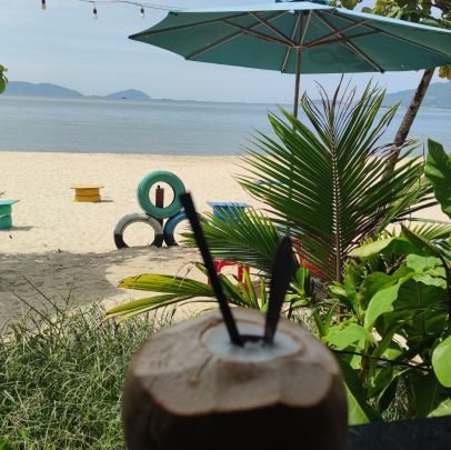 trnlave1's profile picture. 