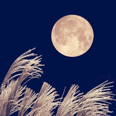 秋月-akituki-🪐さんのプロフィール画像