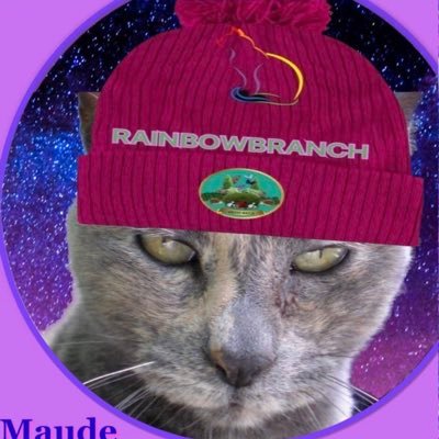 Hoom to 5 felines featured here. Purveyor & conveyer of cat tweets. Living on unceded Dharawal land. Lefty. She/her. Opinions not my own - I’m just the scribe.