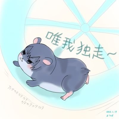 よつばさんのプロフィール画像