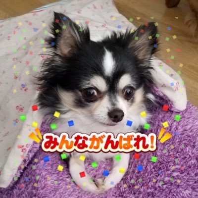 katokijp Profile Picture