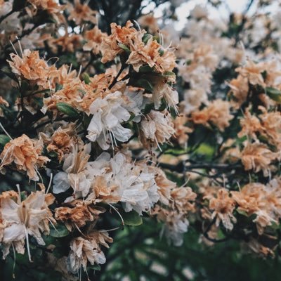 blurham32130's profile picture. 照明会社→ホール管理/照明/東北