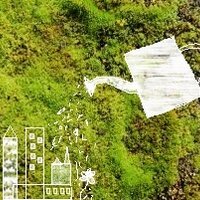 guerilla gardening (@greenguerillera) Twitter profile photo