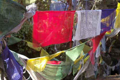 wolkowitz1's profile picture. Eccentric Thinker