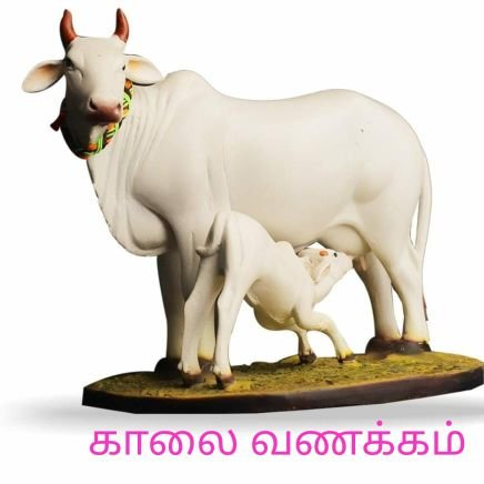 SVIJAYARAGAVA20's profile picture. 