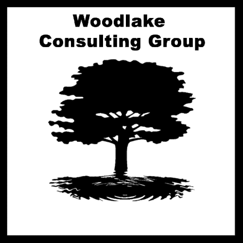 Analyst specializing in the business needs for small and medium sized businesses with planning, operational budgets and clear direction. info@woodlakegroup.com