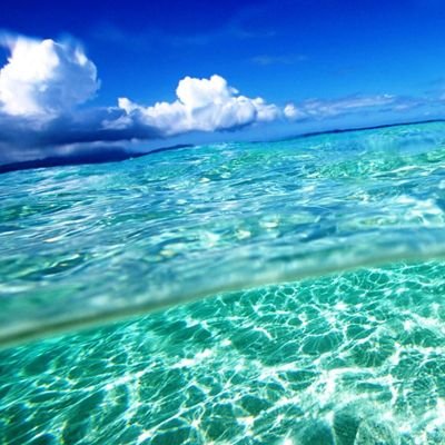 quietlibrary98's profile picture. shh 🤫