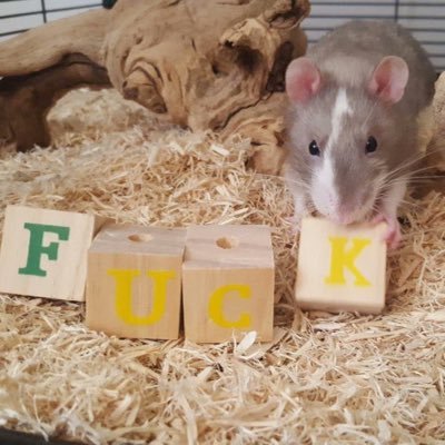 28☆he/they ☆ Love hate relationship with this app 🔞 bad writer🔞