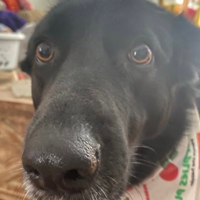 JamesJoiner19's profile picture. Saint Philomena, powerful with God, pray for us.