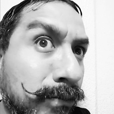 NingunChileMe's profile picture. A mí nada me parece. Odio odiar. Opinador orgánico.
(Parodia)