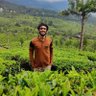 shaji_stark_'s profile picture. Yeah well, I code and stuff but this is the place I dump my lousy jokes!
