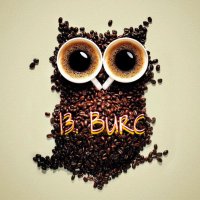 13. Burç(@13burctahmin) 's Twitter Profile Photo