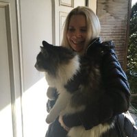 Cat Lady (@carolynjoflani) 's Twitter Profile Photo Cat Lady (@carolynjoflani) 's Twitter Profile Photo