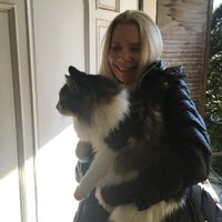 Cat Lady(@carolynjoflani) 's Twitter Profile Photo