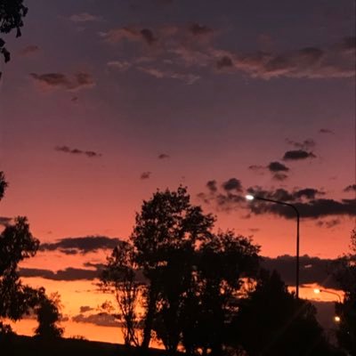 AbdolFatme's profile picture. q culiaoo