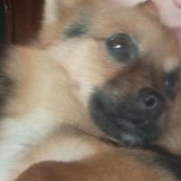 Biluminaty (@biluminaty7) 's Twitter Profile