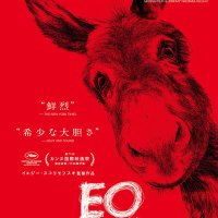 映画『EO イーオー』全国公開中 (@eo_jp0505) Twitter profile photo
