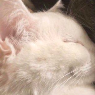 TacianyFN's profile picture. 🌈 | psico