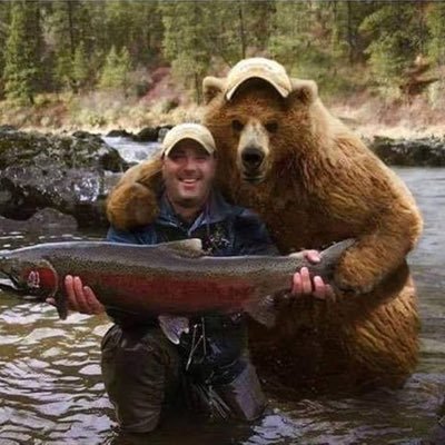 _dan_poly's profile picture. 