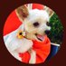 🧢かこ🐢 (@kakokako333) Twitter profile photo 🧢かこ🐢 (@kakokako333) Twitter profile photo