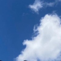 月乃 (@spring2034012) 's Twitter Profile
