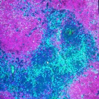 GU Genomics (@genomics_gu) 's Twitter Profile Photo GU Genomics (@genomics_gu) 's Twitter Profile Photo