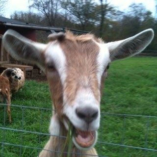 meranyc's profile picture. Happy man!!!