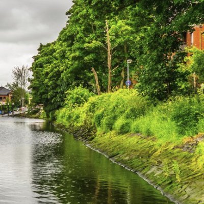 A group dedicated to the protection and enhancement of the river Lagan, its valley, trees, wildlife, and habitats.
#SaveOurLagan
| 🇺🇦