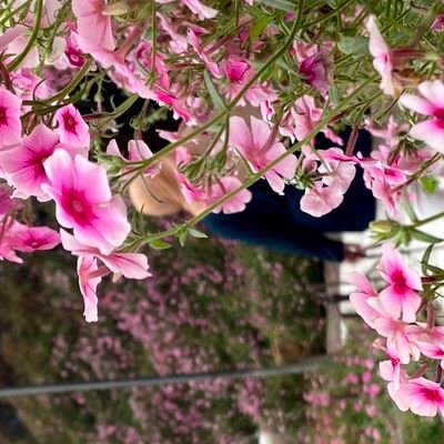 love_wanie's profile picture. Allah tidak membebani seseorang sesuai dengan kesanggupannya🙂
#girlpower🐼